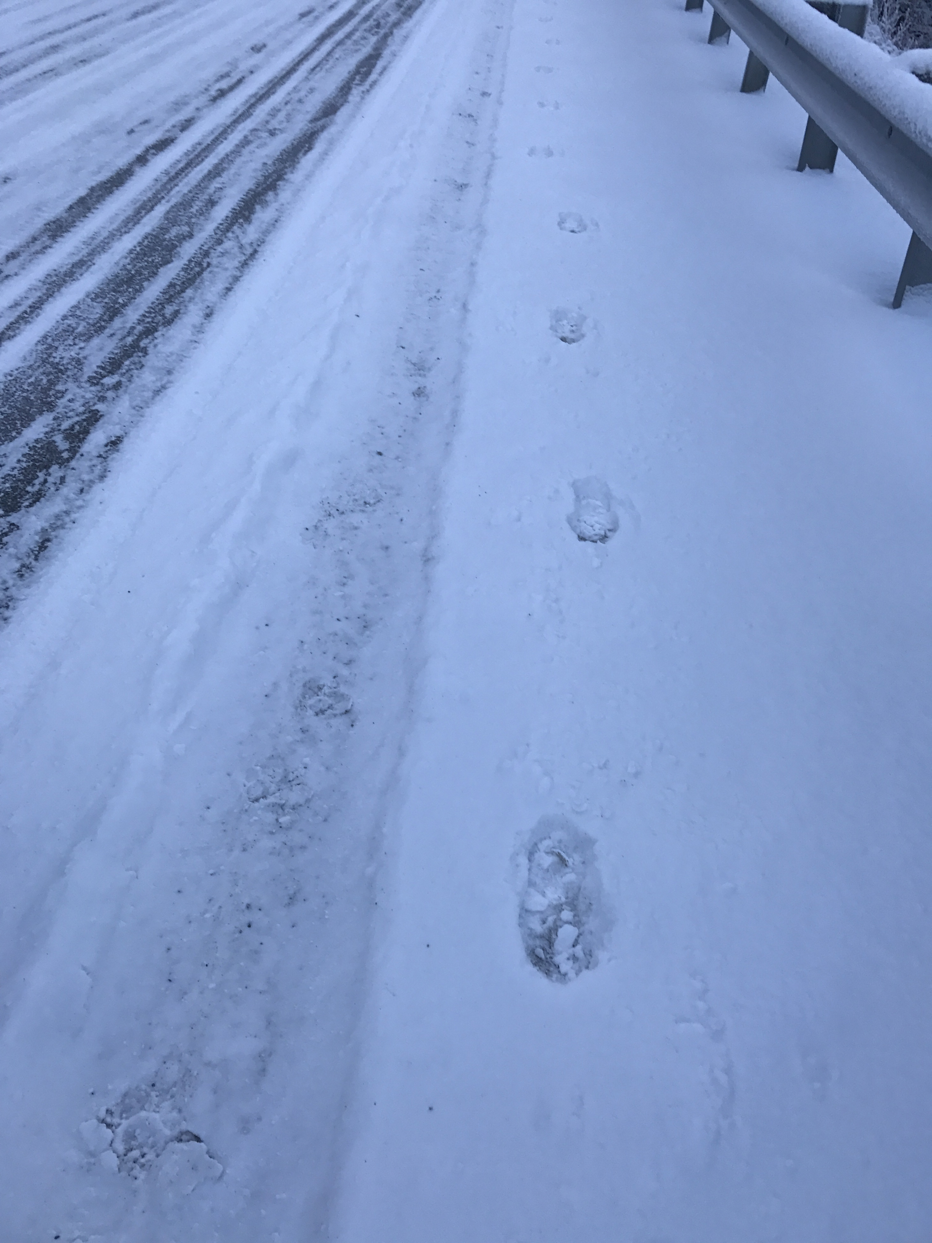Snow Footsteps