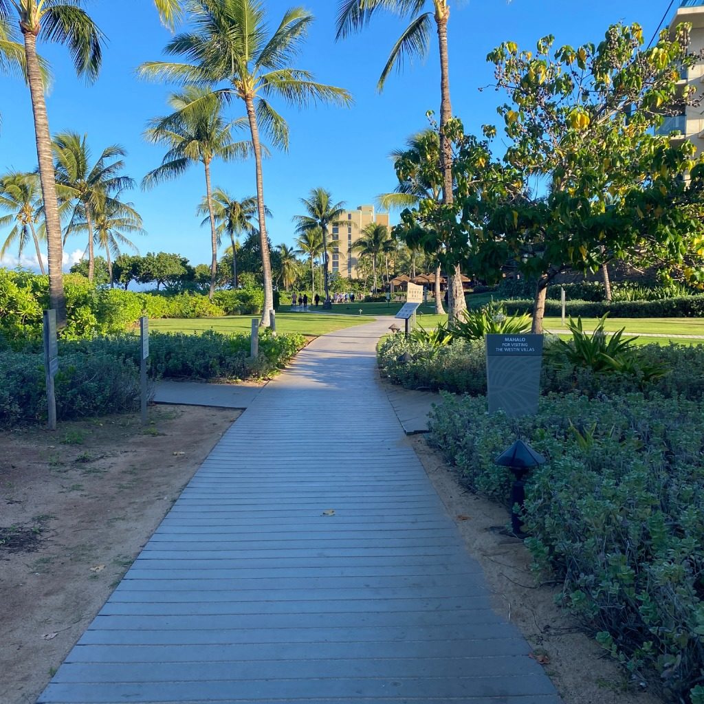 beach boardwalk in Maui
