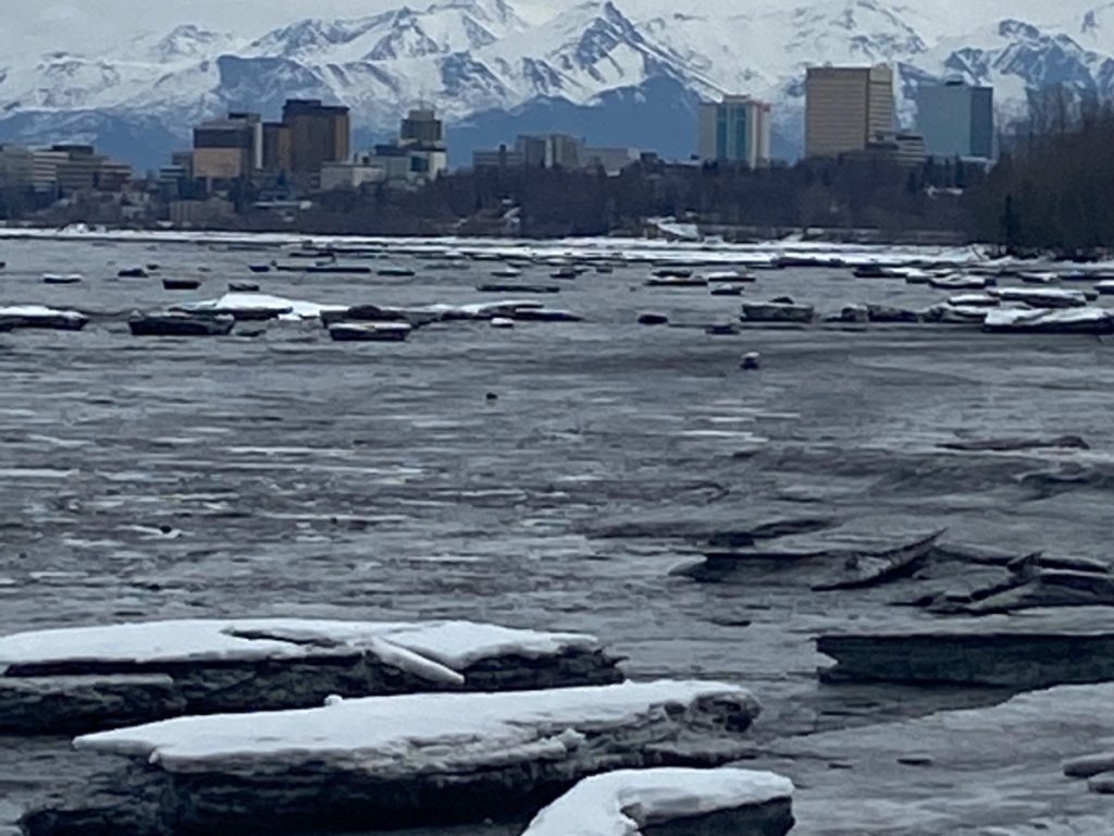 A view of Anchorage from the Tony Knowles Coastal Trail