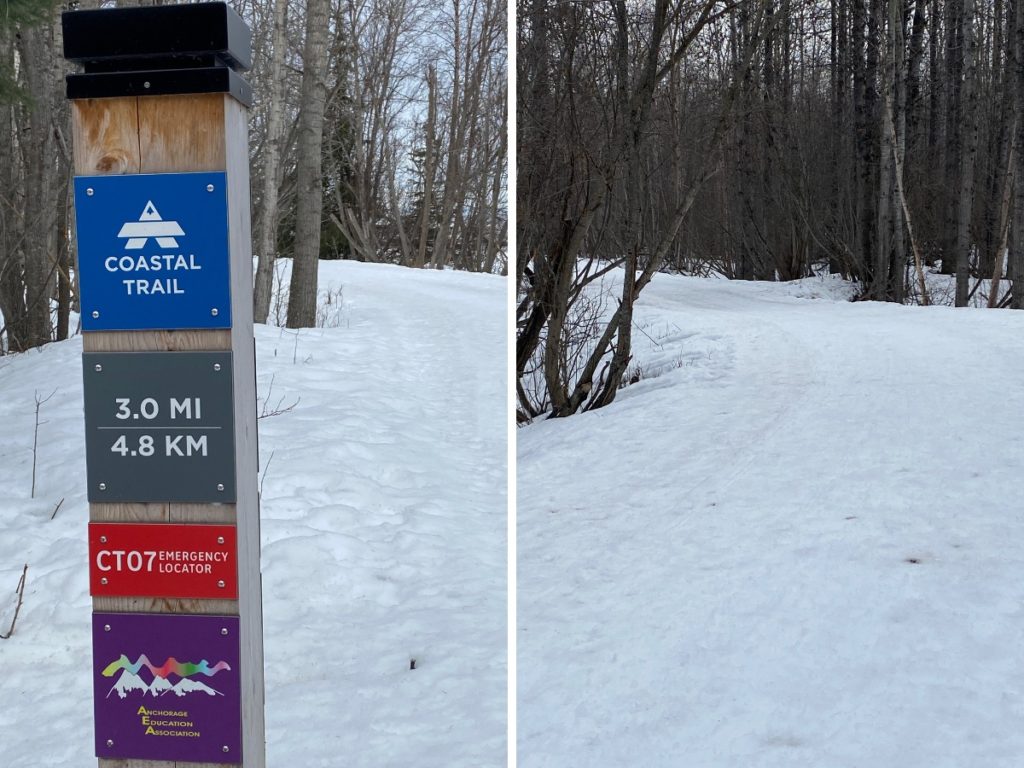 The Tony Knowles Coasta Trail Anchorage Ak during April. Covered in snow still. 