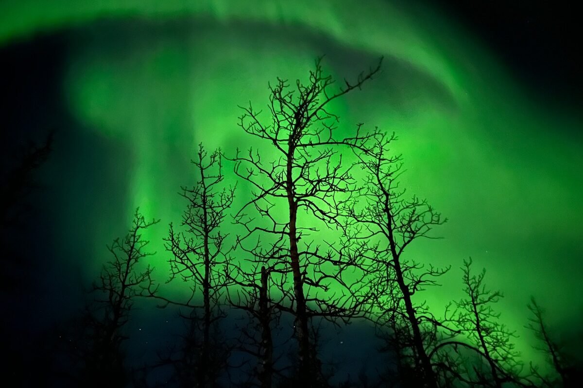 Talkeetna Mountains Scott 1 1200x800