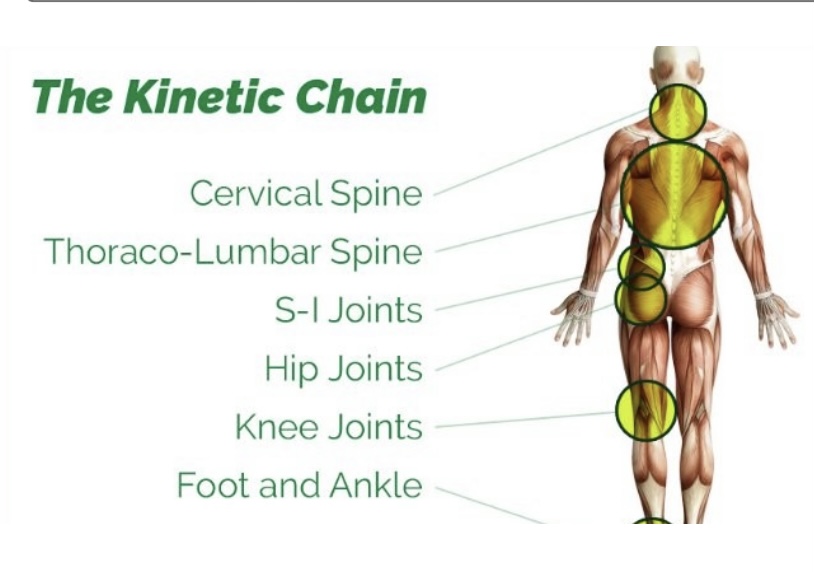 The Kinetic Chain