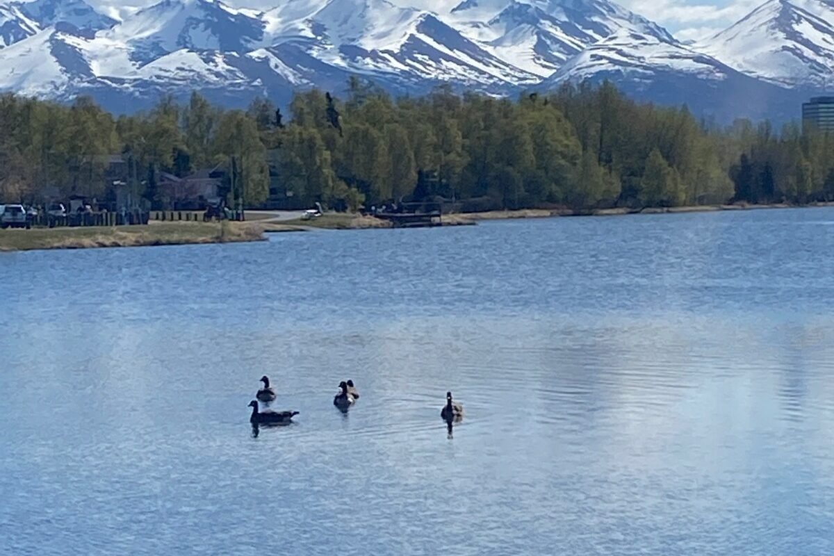 TKCT Featured Image 1200x800