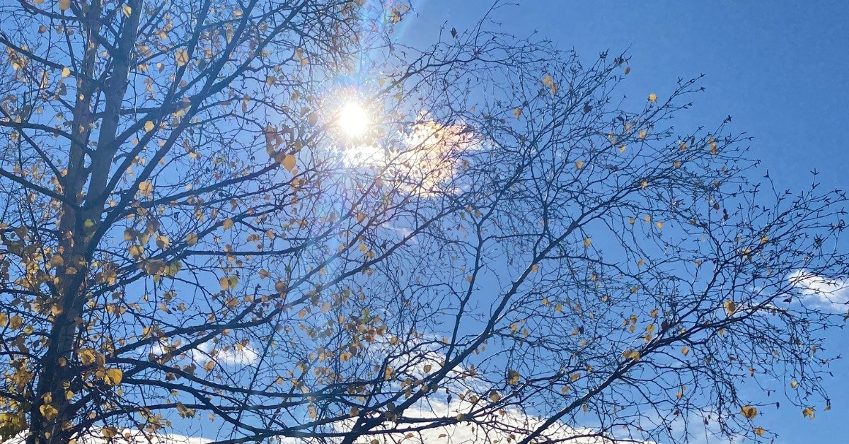 Sunny Fall Day in Alaska