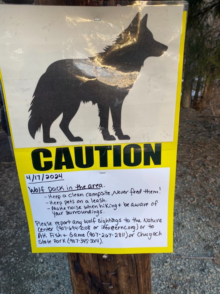 Notice of wolf pack in the area