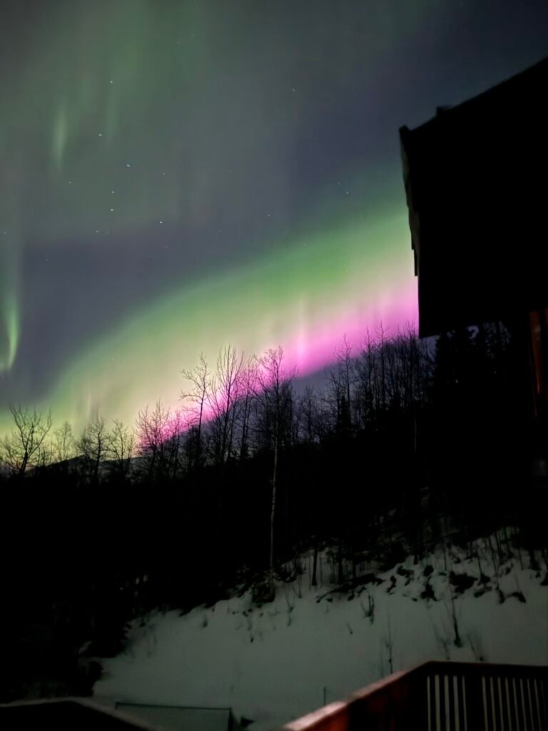 The Latest: Blog Theme Updates, Coaching, And Winter Running img 3252