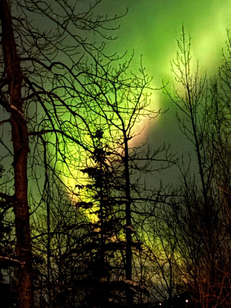 The Latest: Blog Theme Updates, Coaching, And Winter Running img 3557